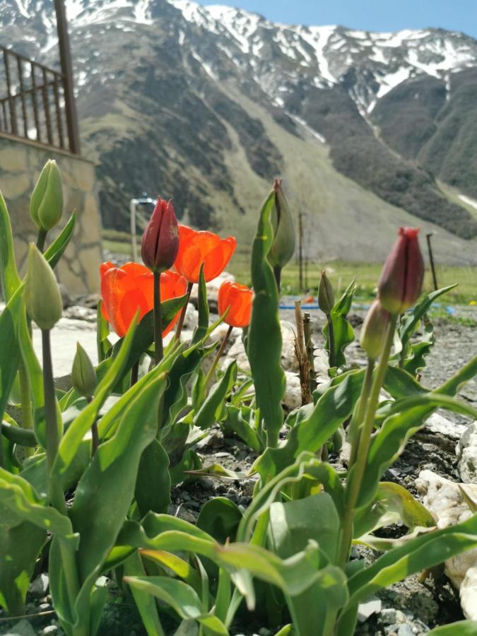 Hotel Diamond Kazbegi 외부 사진